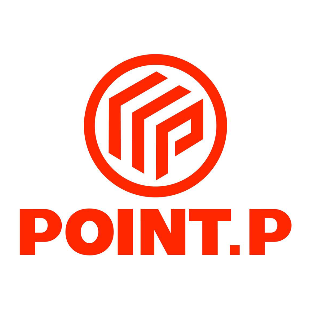 Log point P